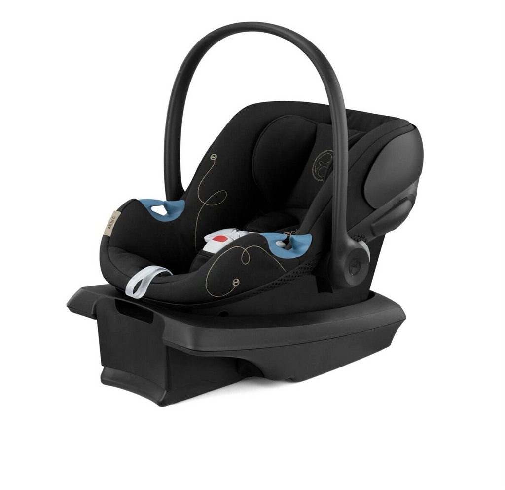 evenflo litemax 35 Evenflo LiteMax 35 Infant Car Seat – Swaddles Baby main image 0