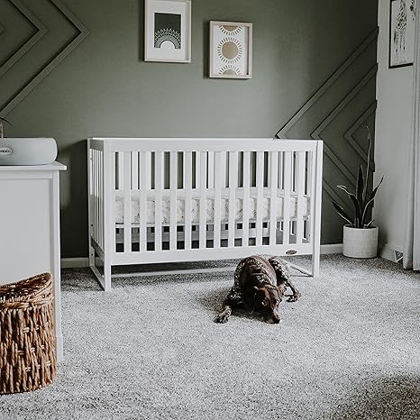 Dream Arlo 5in1 Convertible Crib - White